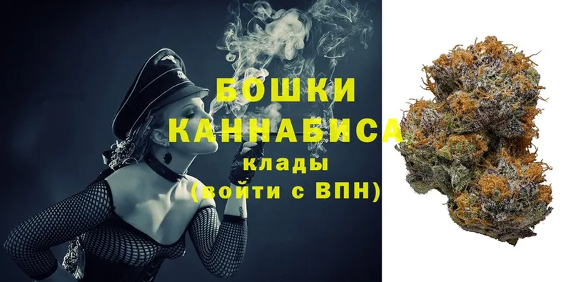 Каннабис OG Kush  Михайловск 